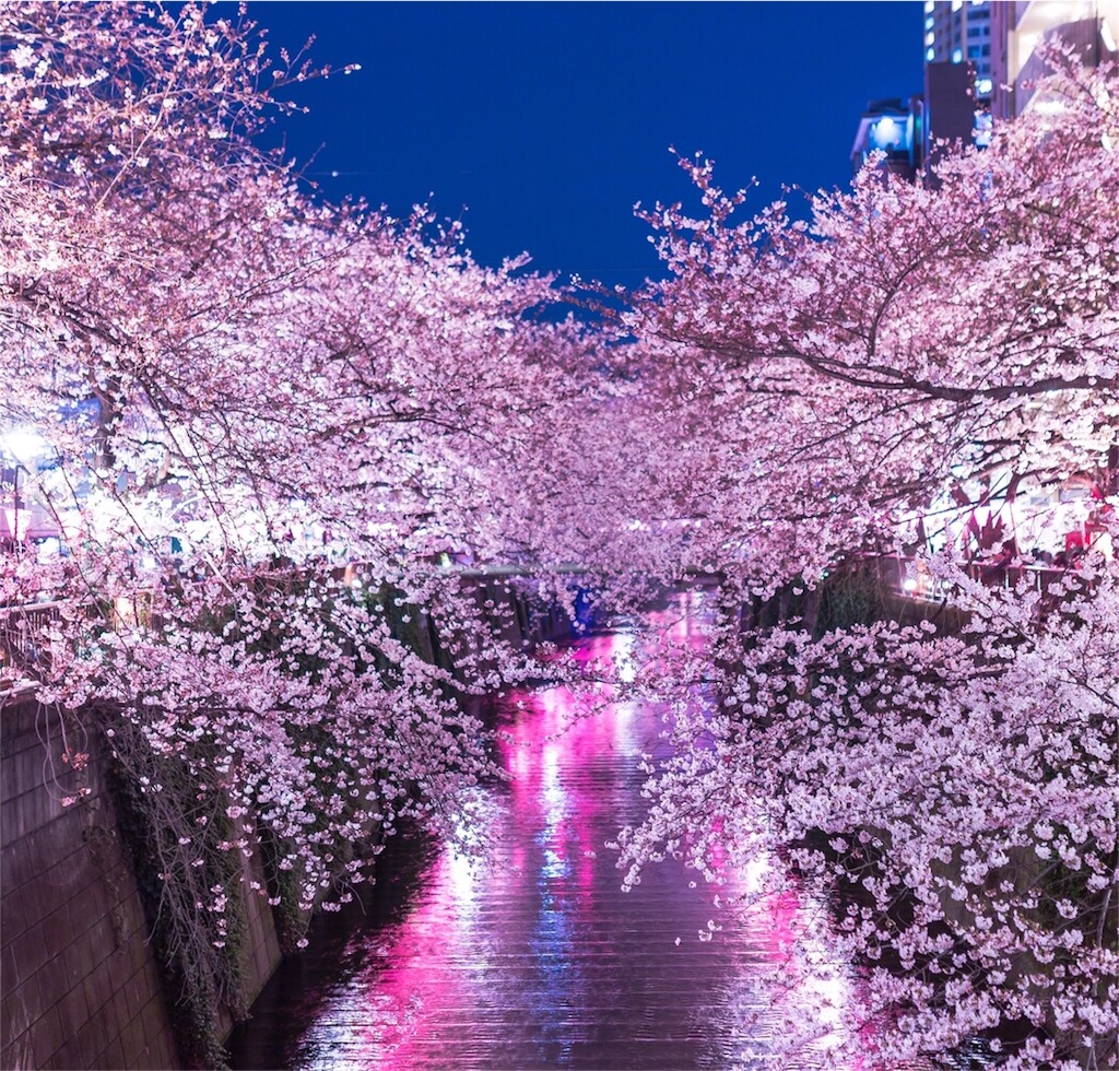 f:id:tsutsumi000lifework:20170220200342j:image f:id:tsutsumi000lifework:20170220200342j:image