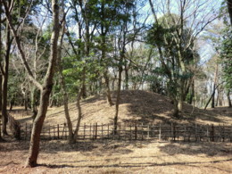 f:id:tsutsumihidetoshi:20100314101843j:image