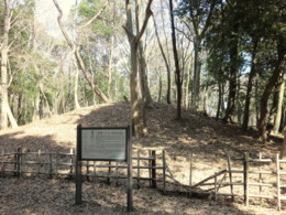 f:id:tsutsumihidetoshi:20100314102400j:image