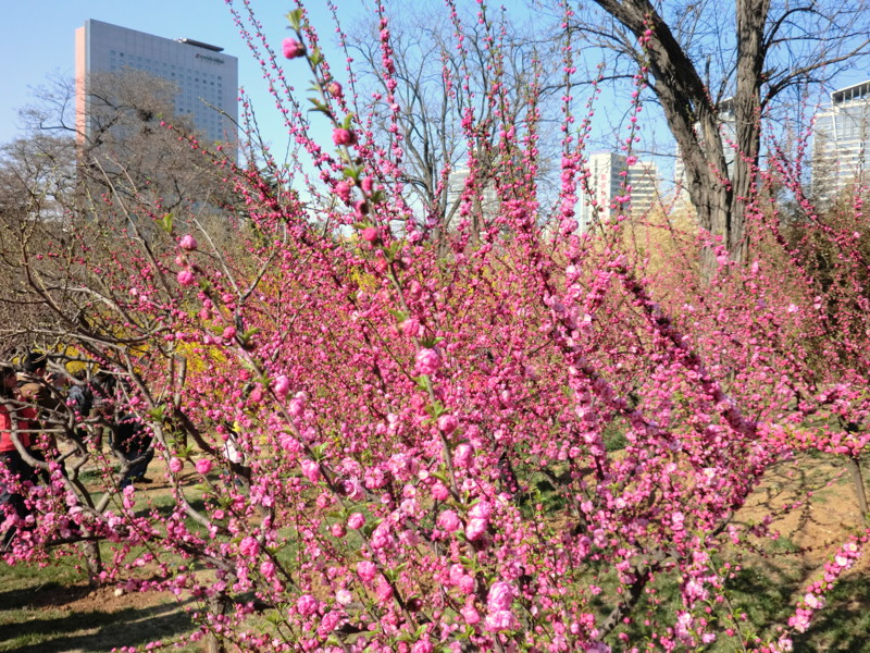 f:id:tsutsumihidetoshi:20100424164007j:image