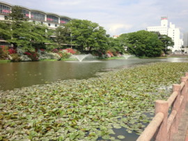 f:id:tsutsumihidetoshi:20100527142157j:image