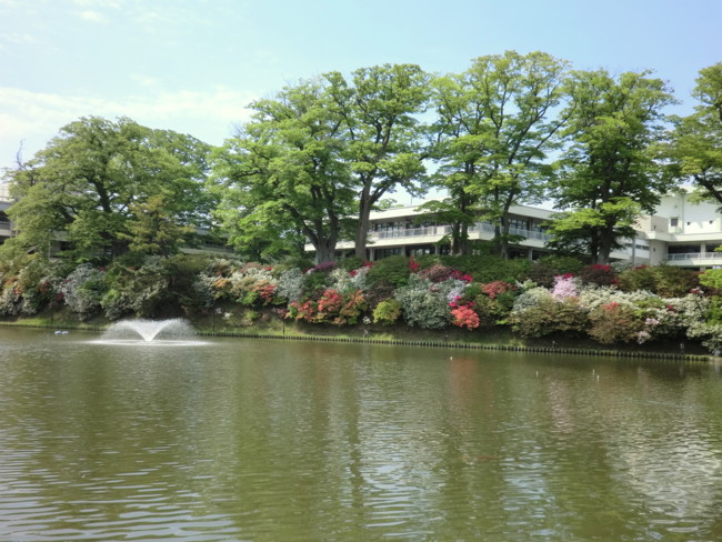 f:id:tsutsumihidetoshi:20100527142409j:image