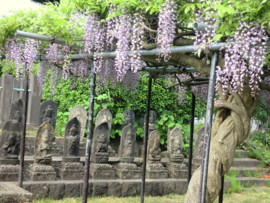f:id:tsutsumihidetoshi:20100527152041j:image