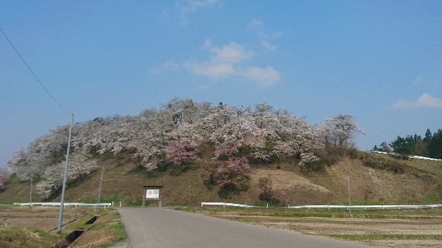 f:id:tsuttonokimamanablog:20180428230913j:image f:id:tsuttonokimamanablog:20180428230913j:image
