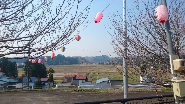 f:id:tsuttonokimamanablog:20180428231338j:image f:id:tsuttonokimamanablog:20180428231338j:image