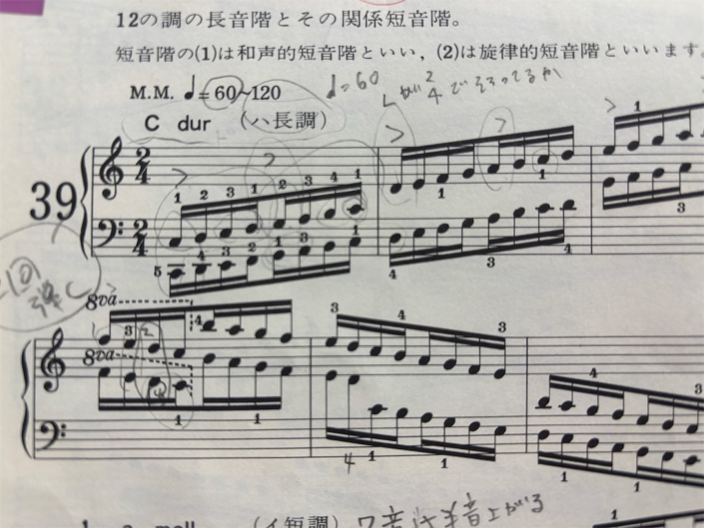 f:id:tsuupuu:20260713184843j:image