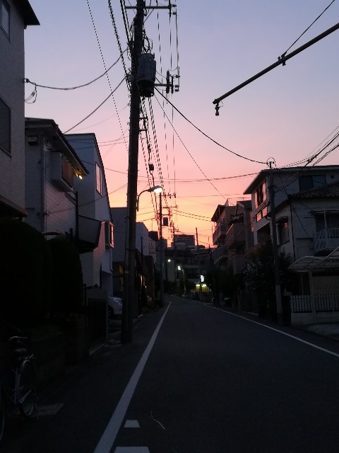 f:id:tsuy0p0n:20190716104501j:image f:id:tsuy0p0n:20190716104501j:image