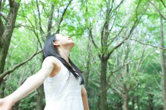 f:id:tsuyasapo:20201123184224j:plain