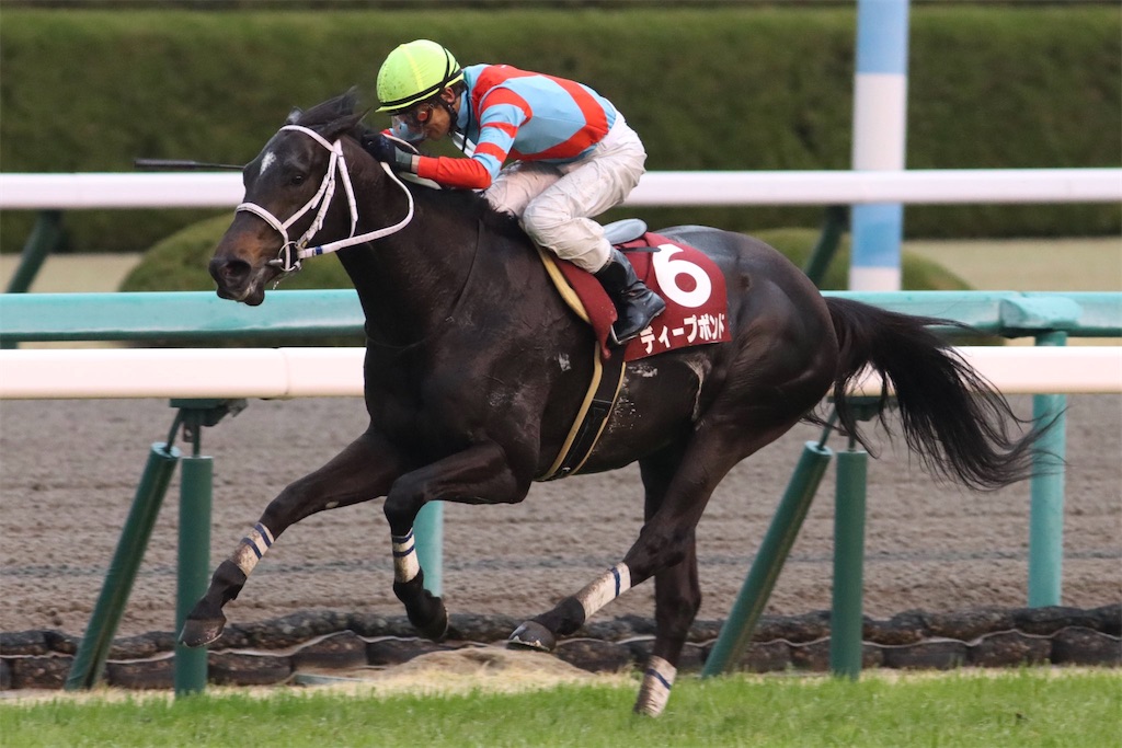 f:id:tsuyo4615_lizer:20210501234129j:image f:id:tsuyo4615_lizer:20210501234129j:image