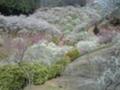20080323105200