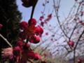 20080323110200