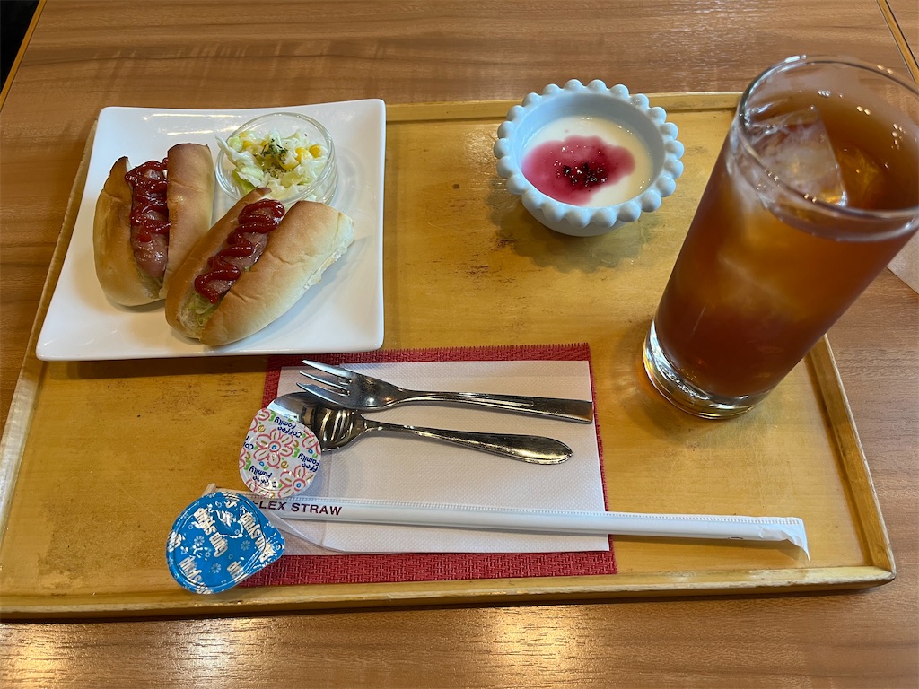 f:id:tsuyomegane:20250724095112j:image