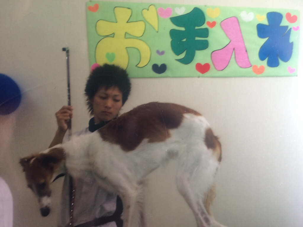 f:id:tsuyoshi1990:20161224010142j:plain f:id:tsuyoshi1990:20161224010142j:plain