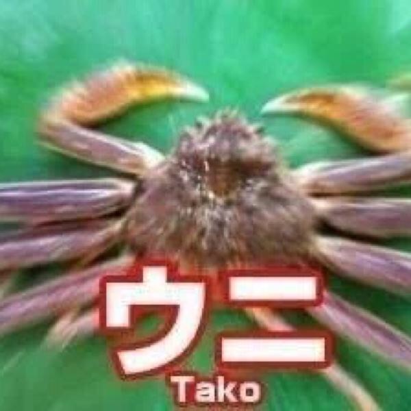 f:id:tsuyuniyo:20210208115421j:image f:id:tsuyuniyo:20210208115421j:image