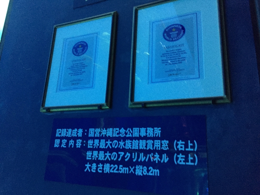 f:id:tsyun430:20190206083059j:plain