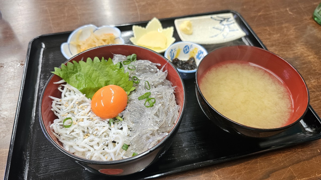 f:id:tt-suzukiit:20241020153742j:image