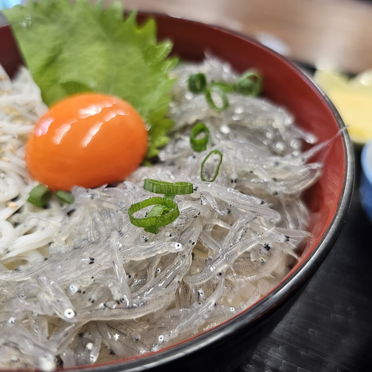 f:id:tt-suzukiit:20241020154036j:image