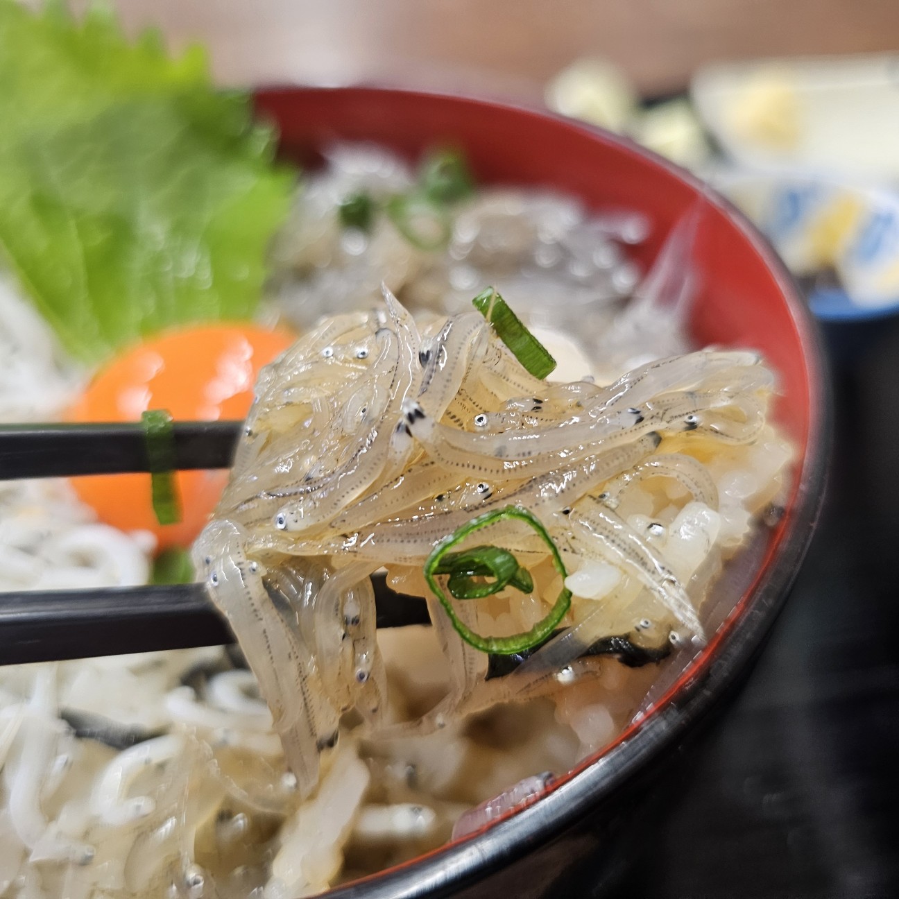 f:id:tt-suzukiit:20241020165633j:image