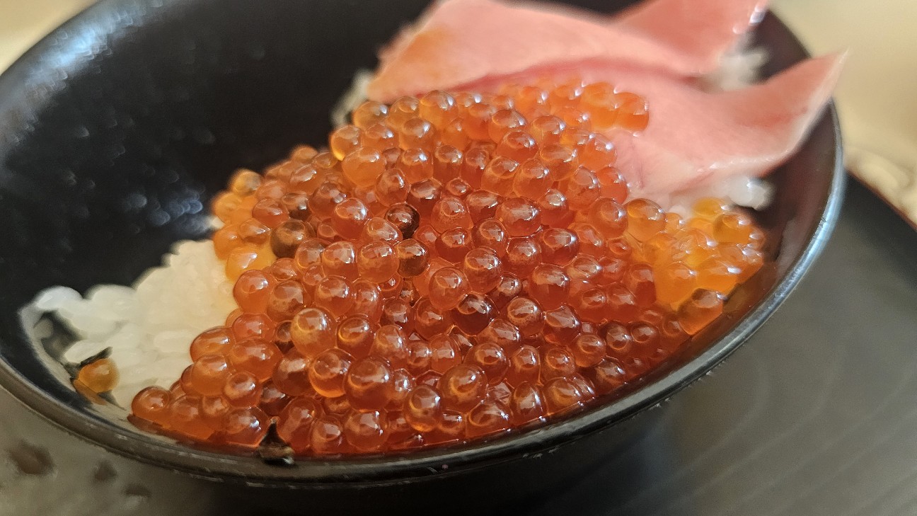 f:id:tt-suzukiit:20241103144420j:image f:id:tt-suzukiit:20241103144420j:image