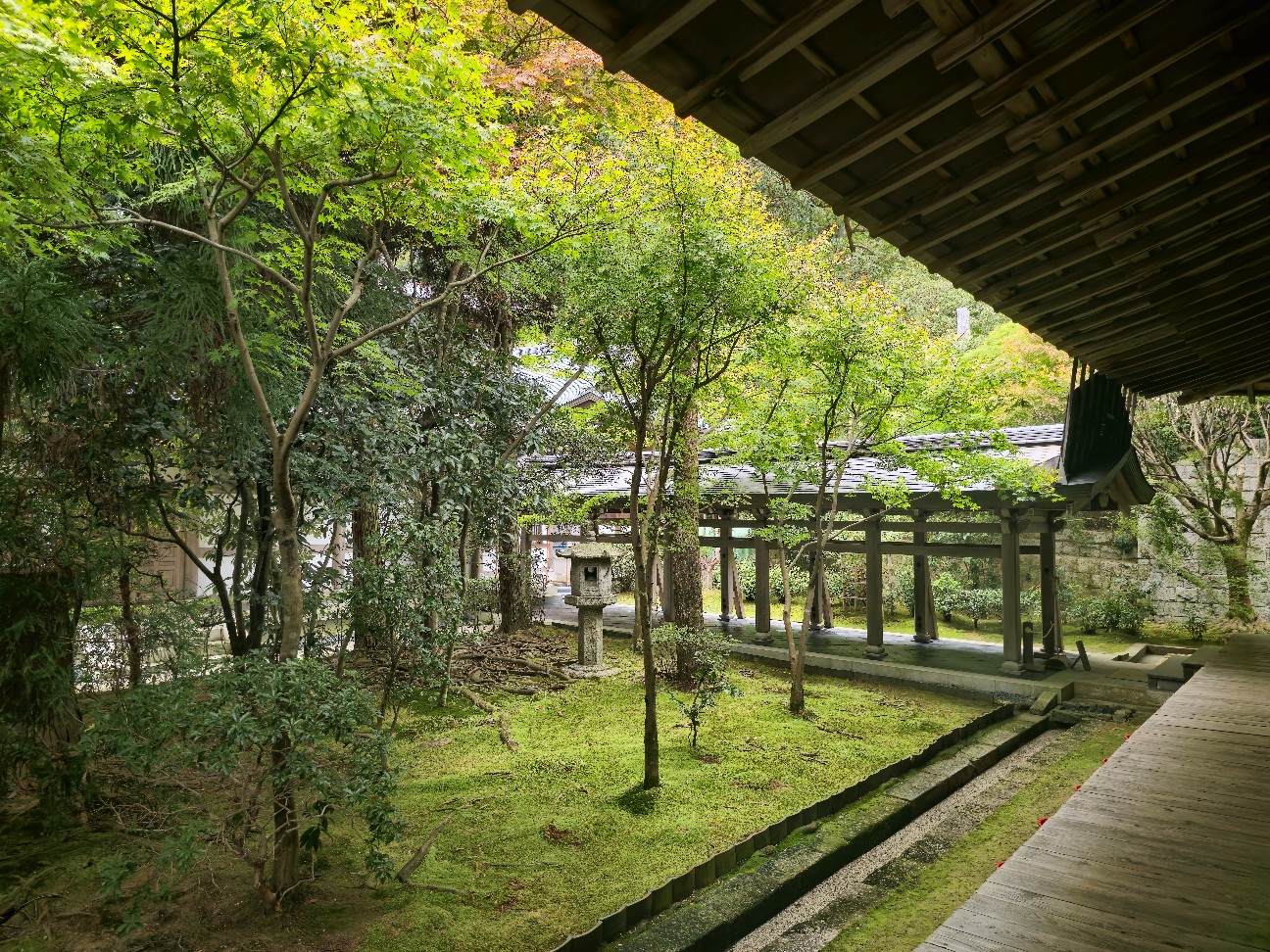 西源院@京都】世界遺産「龍安寺」で庭園を眺めながら食べる精進料理と
