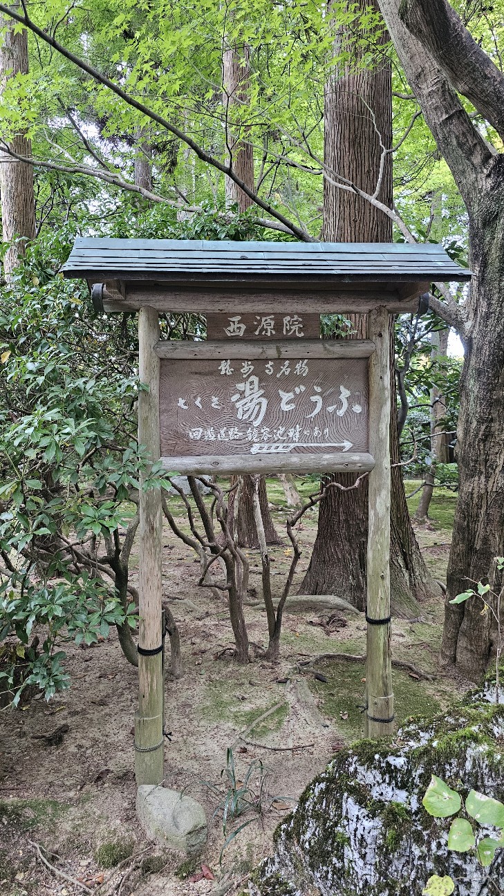f:id:tt-suzukiit:20241121225218j:image