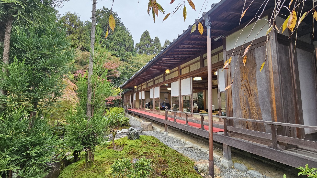 f:id:tt-suzukiit:20241123105627j:image