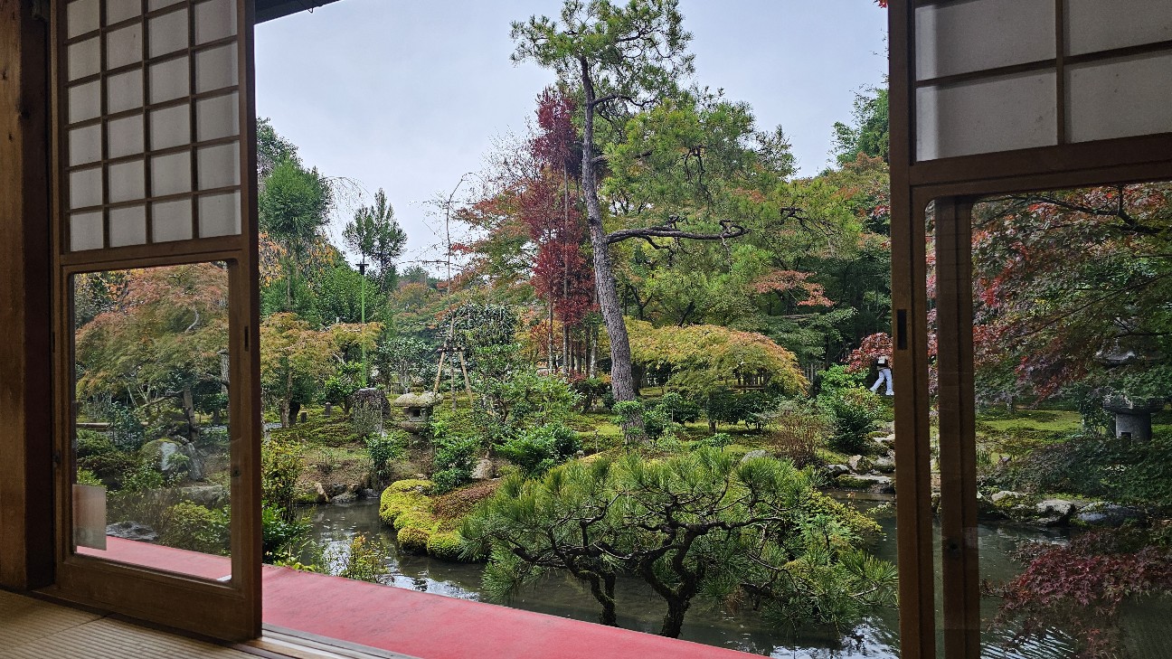 f:id:tt-suzukiit:20241123105812j:image