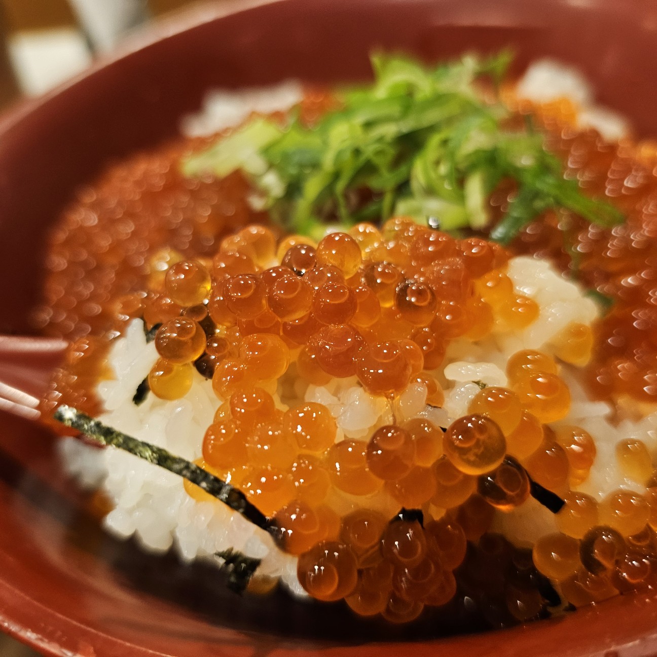 f:id:tt-suzukiit:20241229185438j:image
