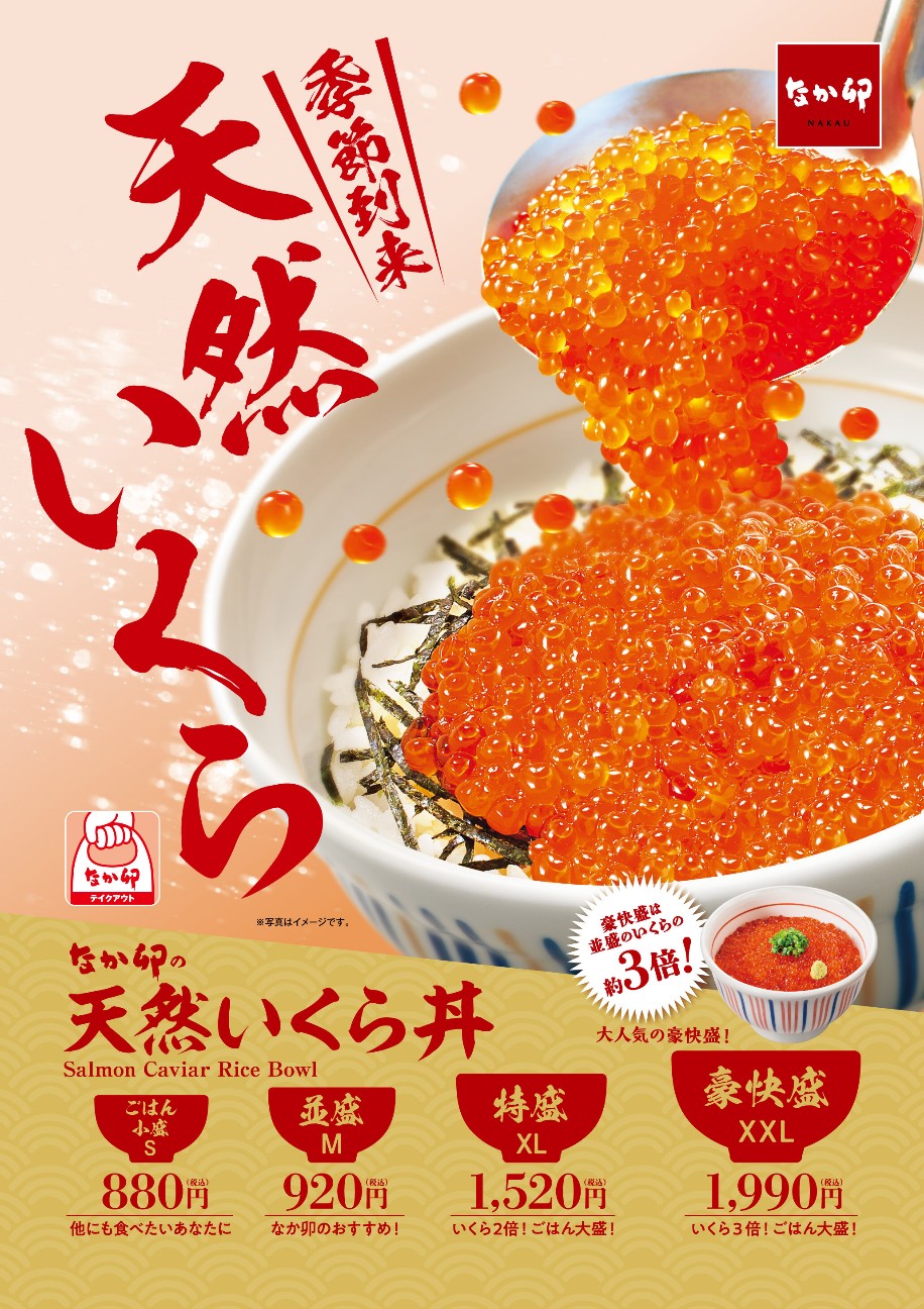 f:id:tt-suzukiit:20241229194150j:image
