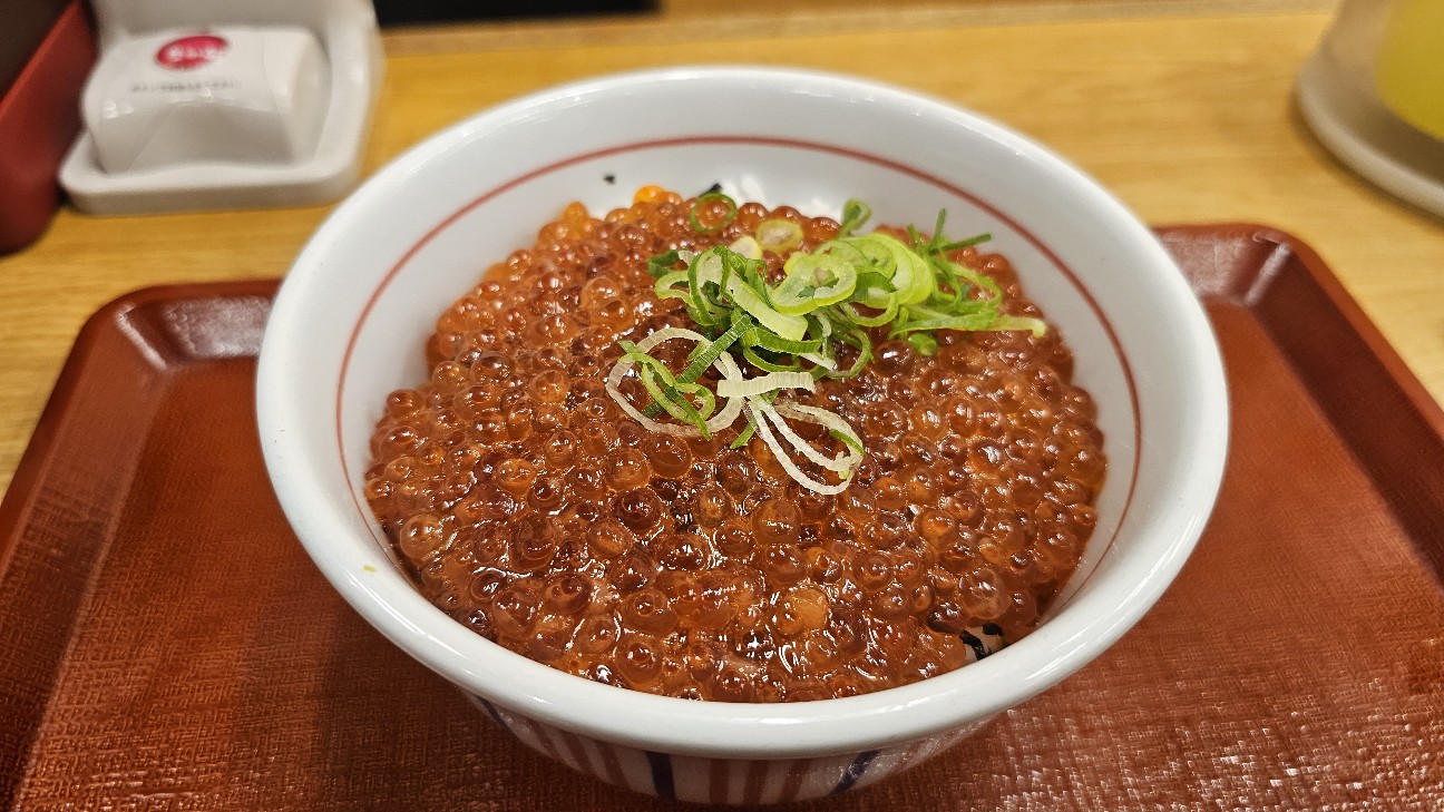 f:id:tt-suzukiit:20241229194817j:image