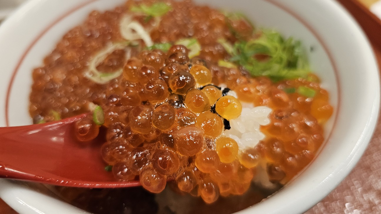 f:id:tt-suzukiit:20241229194856j:image