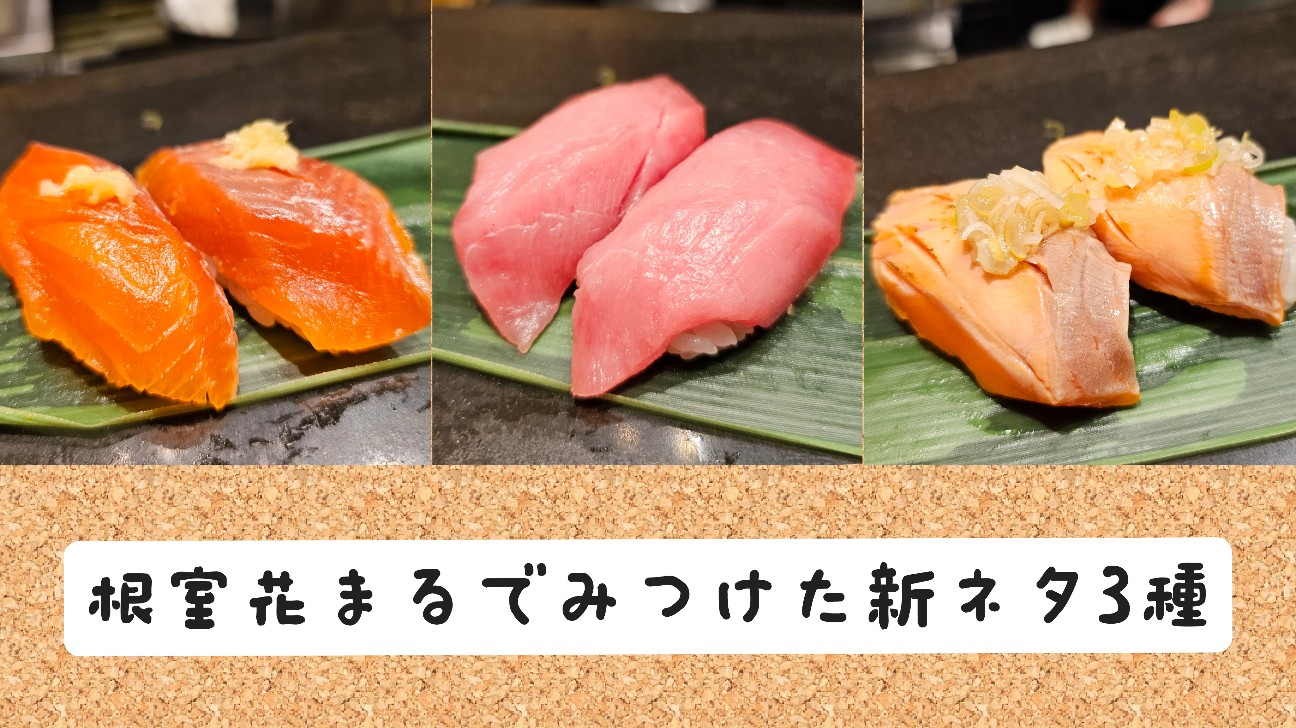 f:id:tt-suzukiit:20250201172727j:image