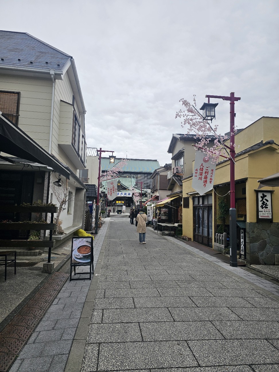 f:id:tt-suzukiit:20250309175541j:image