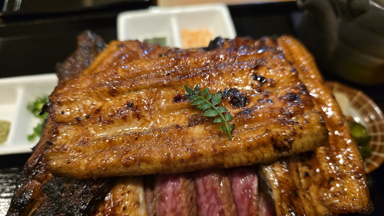 f:id:tt-suzukiit:20251025164645j:image