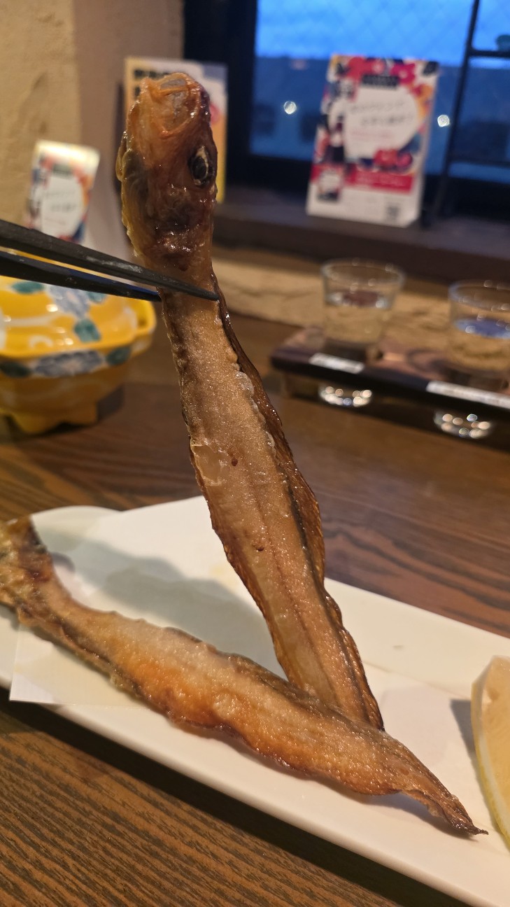 f:id:tt-suzukiit:20260109092823j:image