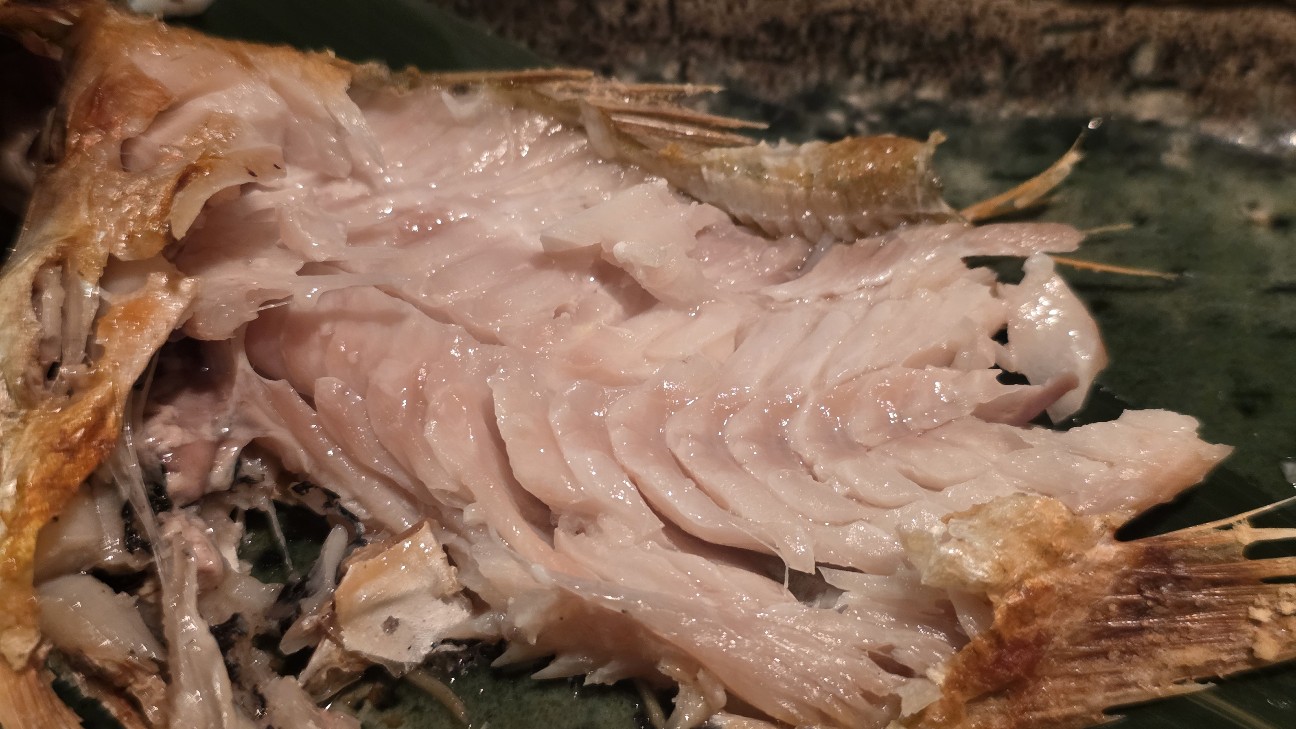 f:id:tt-suzukiit:20260109094454j:image