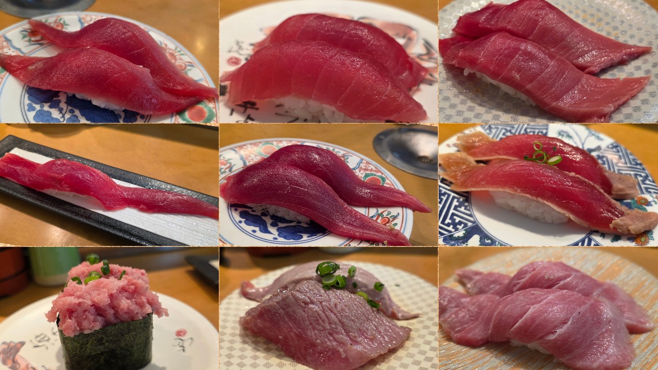 f:id:tt-suzukiit:20260224203339j:image
