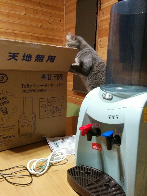 f:id:tt2arrow:20190324204750j:plain f:id:tt2arrow:20190324204750j:plain