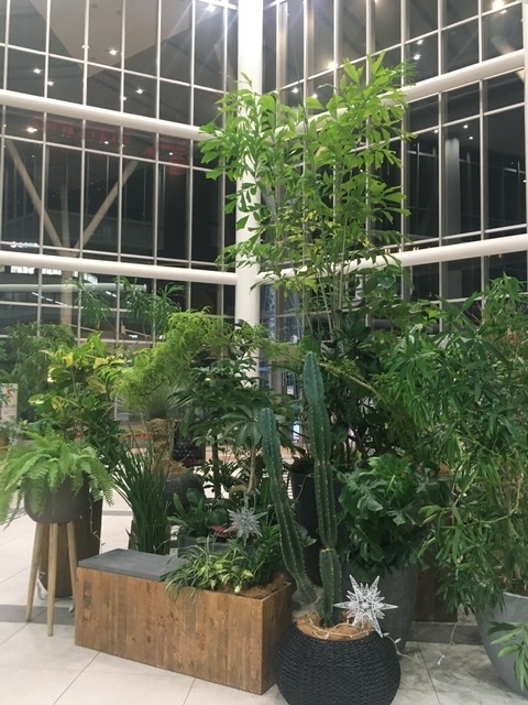 f:id:tt4675:20201120232907j:plain