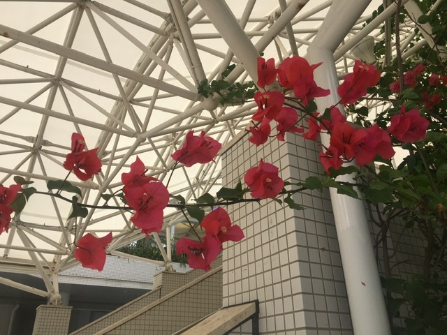 f:id:tt4675:20201120233443j:plain