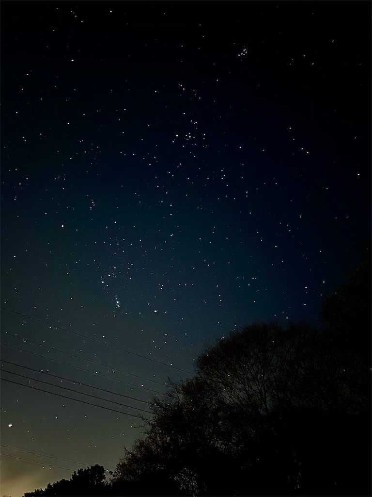 f:id:ttanabe83:20201206183120j:image