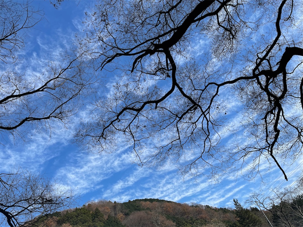 f:id:ttanabe83:20201224201812j:image