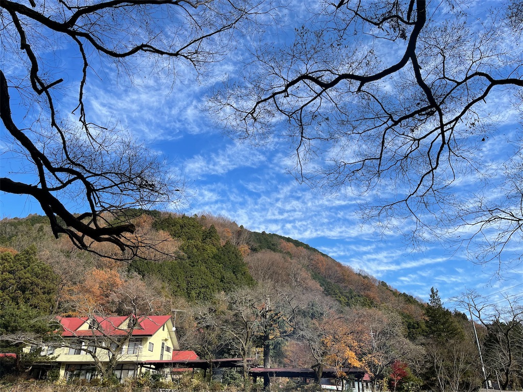 f:id:ttanabe83:20201224201818j:image