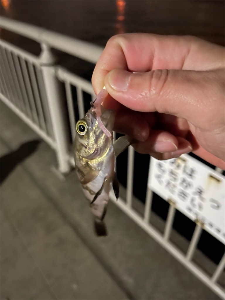 f:id:ttanabe83:20210118192934j:image