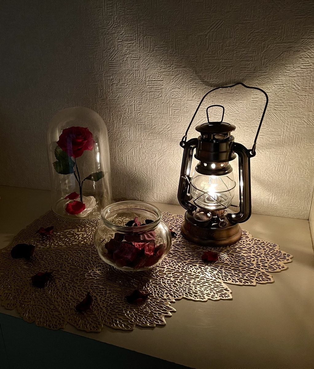 f:id:ttanabe83:20210515213459j:plain
