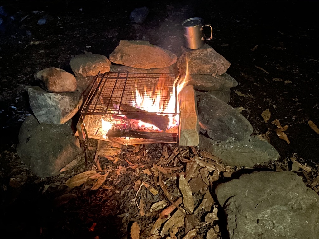 f:id:ttanabe83:20210603230604j:image