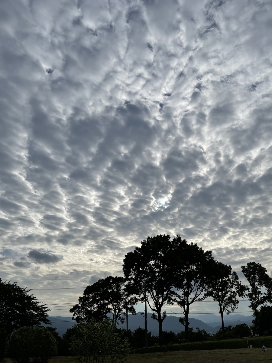 f:id:ttanabe83:20210622234511j:plain