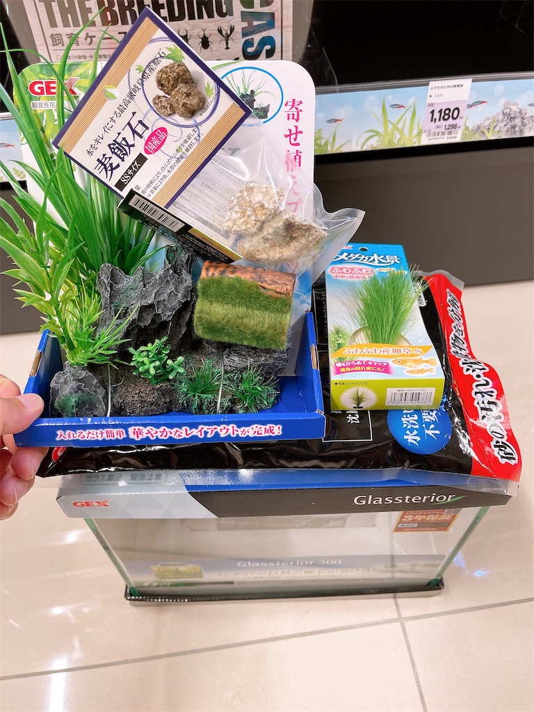 f:id:ttanabe83:20210710225915j:image f:id:ttanabe83:20210710225915j:image