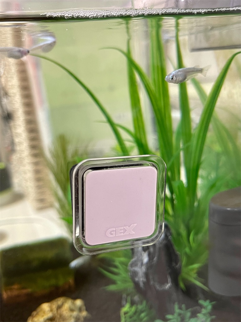 f:id:ttanabe83:20210911050845j:image