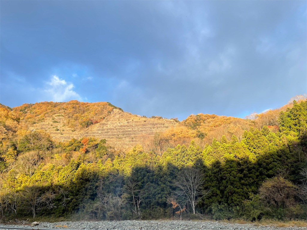 f:id:ttanabe83:20211202230457j:image